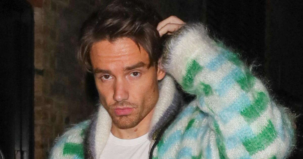 Liam Payne was 'Secret Drugs Counselor to Pals'