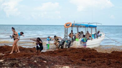 Mexico Mobilizes to Face Potentially Worst Ever Sargassum Season