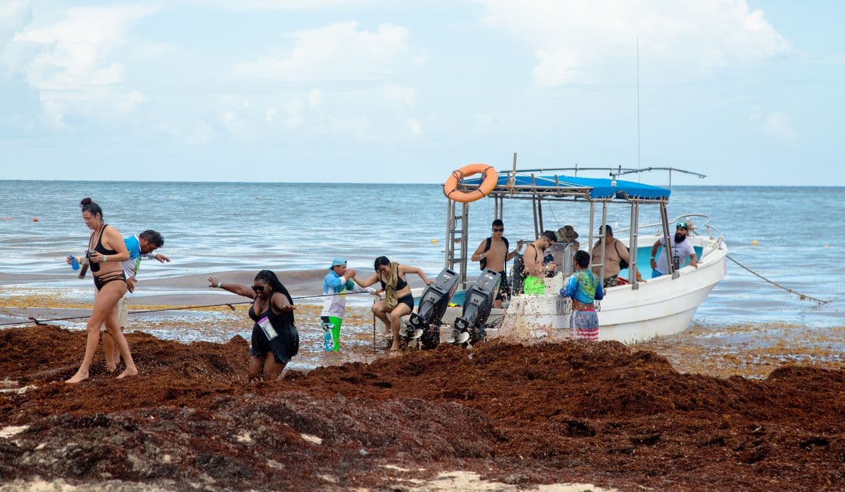 Mexico Mobilizes to Face Potentially Worst Ever Sargassum Season