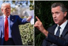 President Trump was 'terrified' to bump into Gavin Newsom in 2024