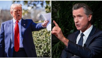 President Trump was 'terrified' to bump into Gavin Newsom in 2024