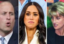 Prince William 'Zieden' about Meghan Markle's Princess Diana Copycat moves