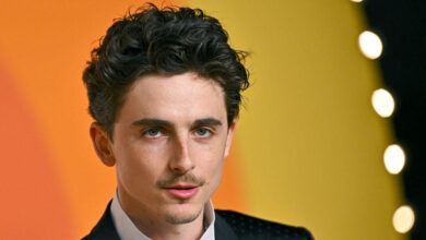 The mysterious journey of Timothée Chalamet reflects the rise of Bob Dylan