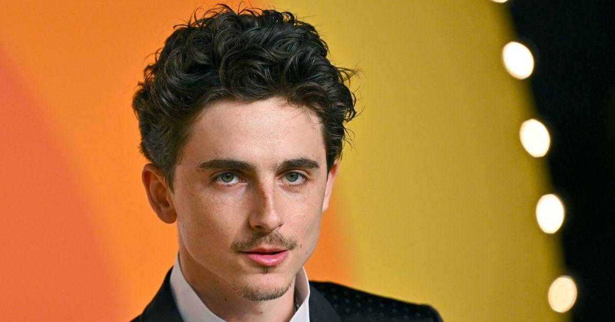 The mysterious journey of Timothée Chalamet reflects the rise of Bob Dylan