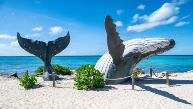 U.S. Re-Issues 'Level 2' Travel Warning for Turks and Caicos