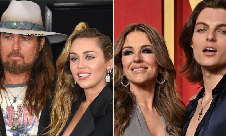 Billy Ray Cyrus and Elizabeth Hurley have no plans to 'unite families'