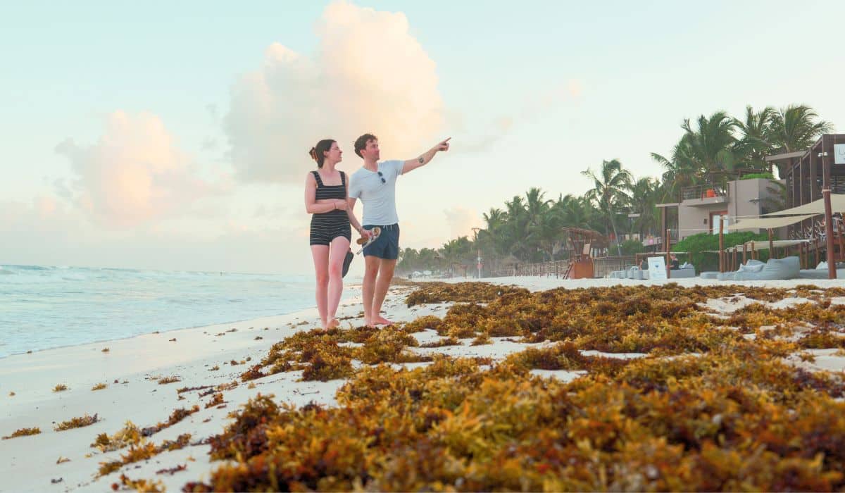 Despite Massive Sargassum Arrivals, Nearly 1.3 Million Tourists Expected in the Mexican Caribbean for Easter