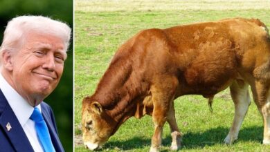 America's 'beef deal' with the UK are British shoppers scared