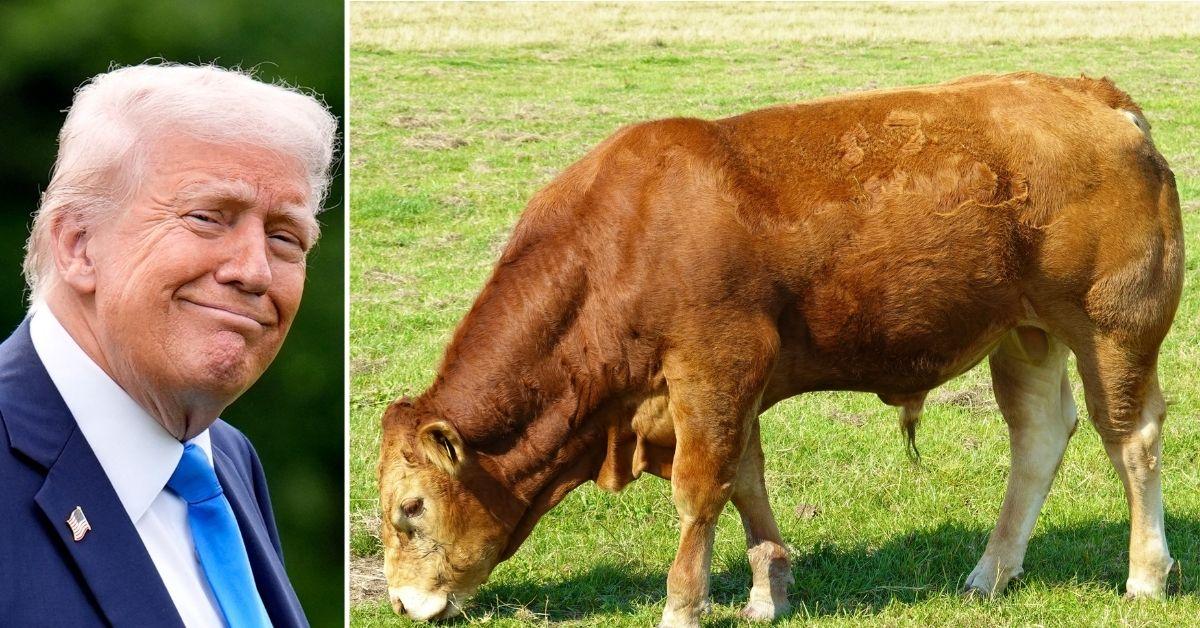 America's 'beef deal' with the UK are British shoppers scared