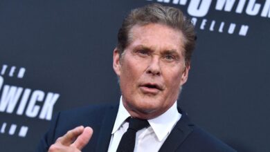 'Baywatch' Ster David Hasselhoff is 'suffering and using a wheelchair'