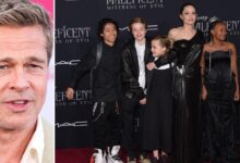 Brad Pitt was locked up to build a tire with alienated twins