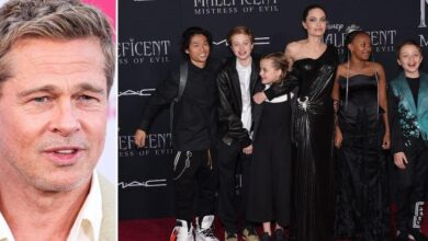 Brad Pitt was locked up to build a tire with alienated twins