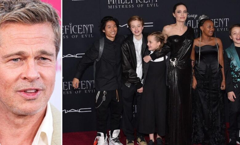 Brad Pitt was locked up to build a tire with alienated twins