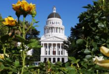 California Film Credit Expansion Steag is removed as a dollar figure
