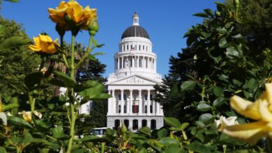 California Film Credit Expansion Steag is removed as a dollar figure
