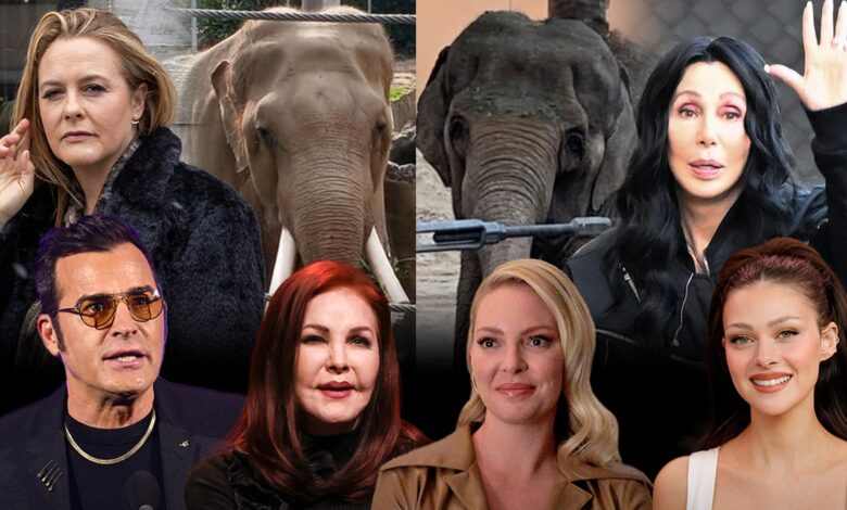 Cher -signs letter to La Mayor against transfer of zoo elephants to Tulsa