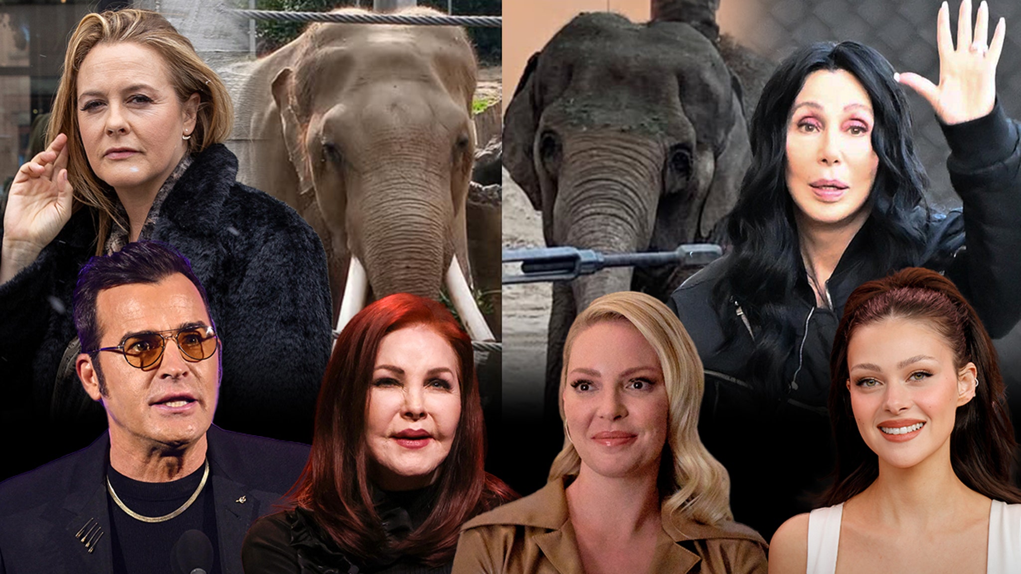 Cher -signs letter to La Mayor against transfer of zoo elephants to Tulsa