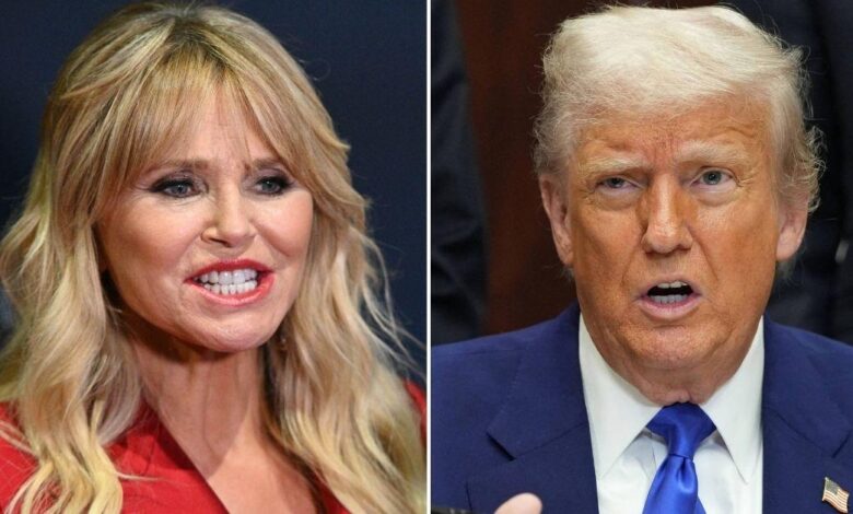 Christie Brinkley bumps with Trump after closing his climate position