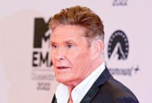 David Hasselhoff now wheelchair-bound after the shock of ex-wife Suidcide