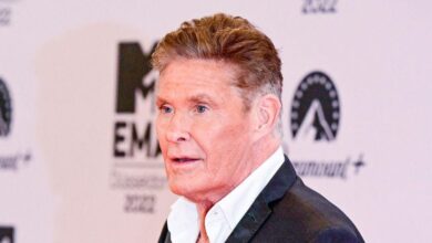 David Hasselhoff now wheelchair-bound after the shock of ex-wife Suidcide
