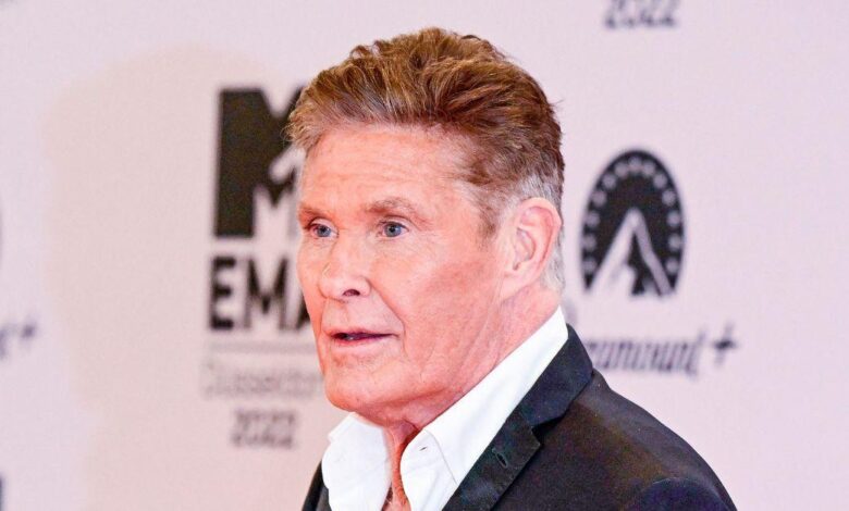 David Hasselhoff now wheelchair-bound after the shock of ex-wife Suidcide
