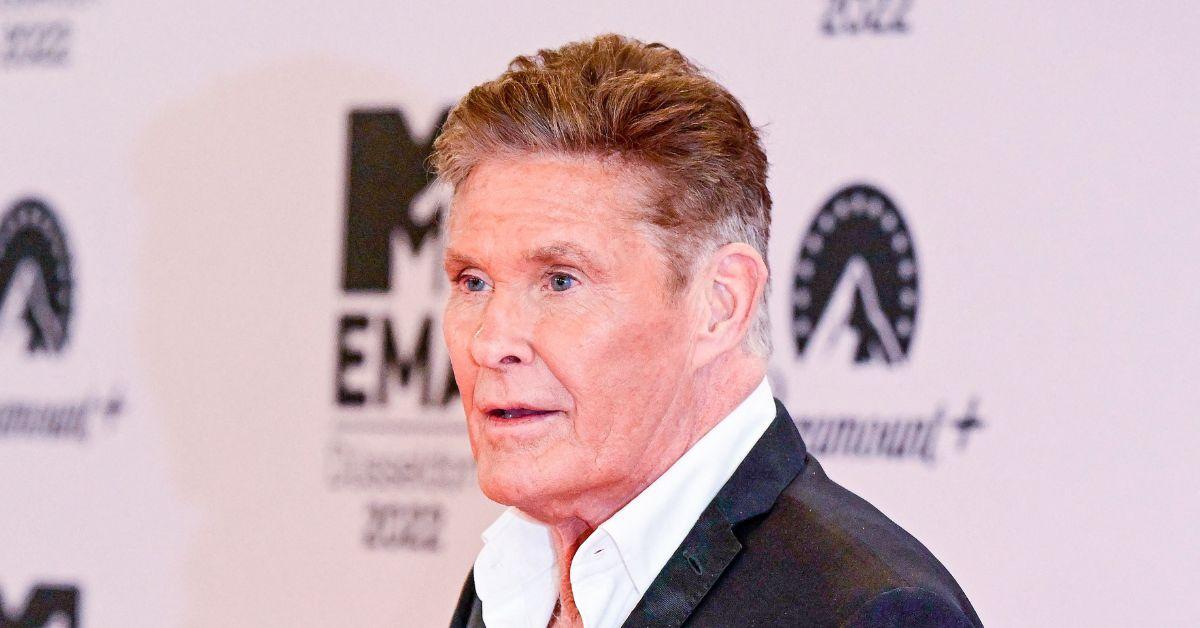 David Hasselhoff now wheelchair-bound after the shock of ex-wife Suidcide