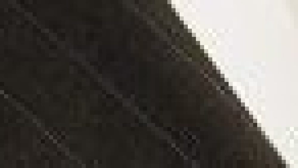 David Leavy, Con's COO, returns to Warner Bros. Discovery