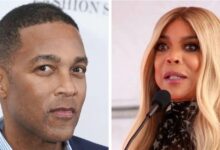 Don Lemon and Wendy Williams are planning to make their Hollywood -Combacks