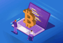 Insight into crypto -portfolios in 2025
