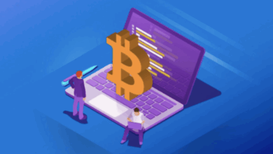Insight into crypto -portfolios in 2025