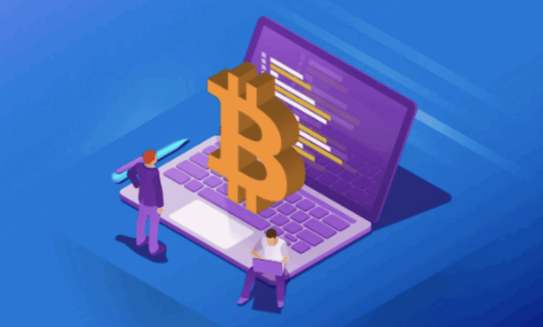 Insight into crypto -portfolios in 2025