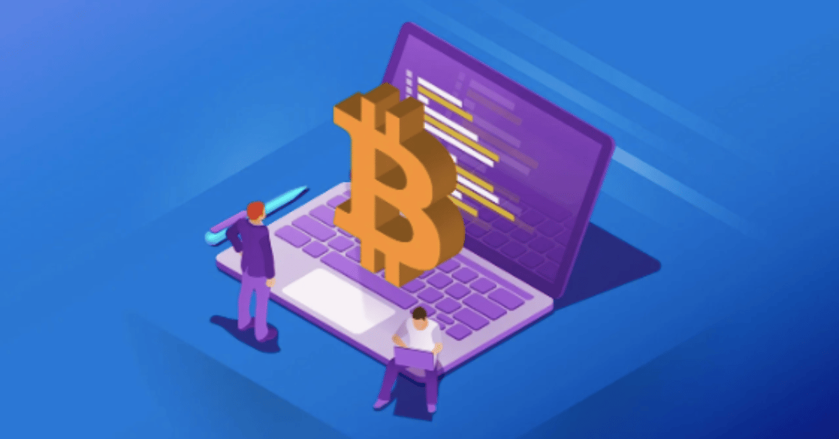 Insight into crypto -portfolios in 2025