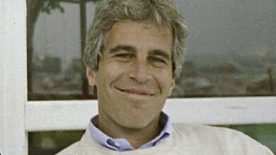 Jeffrey Epstein's brother Slams Trump Slams
