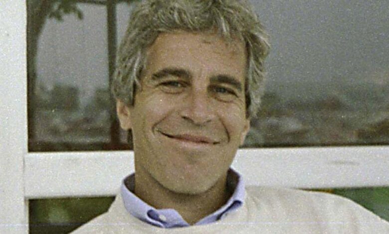 Jeffrey Epstein's brother Slams Trump Slams