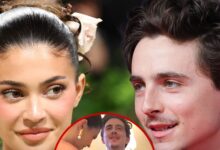 Kylie Jenner uses Lint Roller on Timothée Chalamet in Sweet Snap