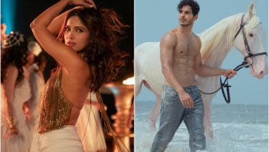 Netflix's 'The Royals' mix Indian palaces with the abdominal muscles of Ishaan Khatter