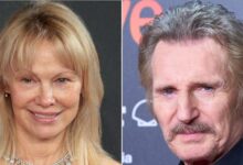 Pamela Anderson Spark's relationship rumors with Liam Neeson