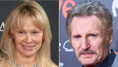 Pamela Anderson Spark's relationship rumors with Liam Neeson