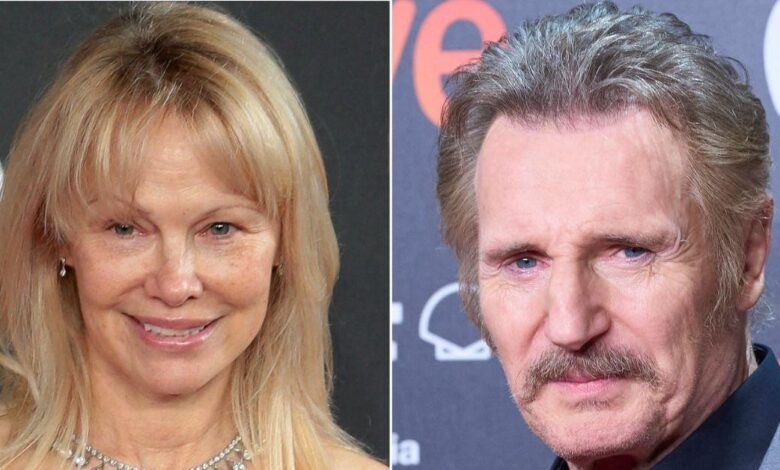Pamela Anderson Spark's relationship rumors with Liam Neeson