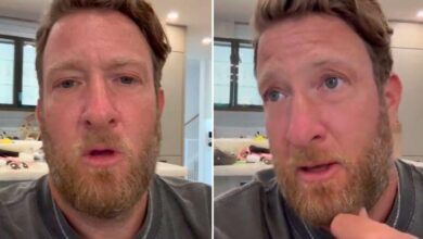 Portnoy has been radiated for rewarding anti -Semitic plates on vacation