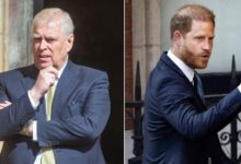 Prince Andrew 'join Prince Harry'