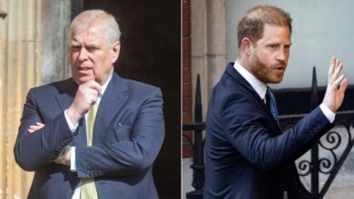 Prince Andrew 'join Prince Harry'
