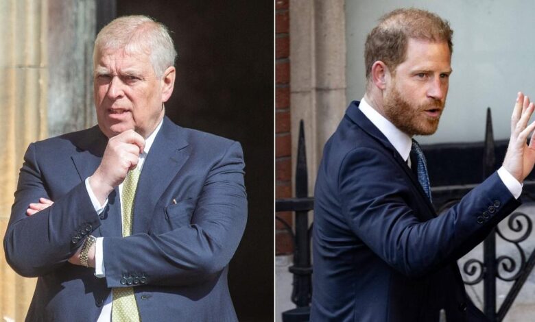 Prince Andrew 'join Prince Harry'