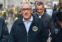 Robert de Niro 'increases safety over Trump supporter fears'