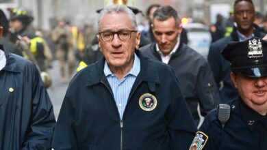 Robert de Niro 'increases safety over Trump supporter fears'