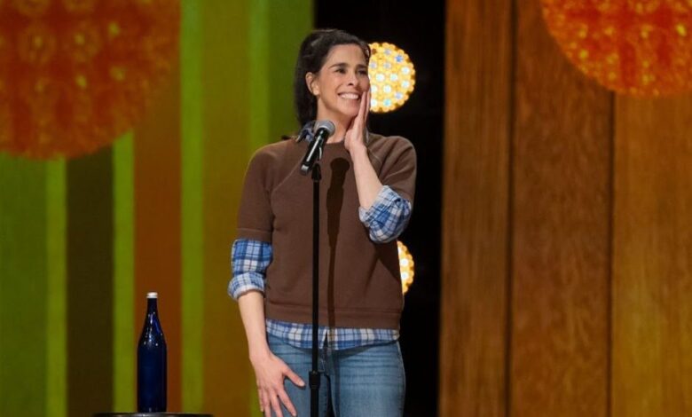 Sarah Silverman says that she was 'ignorant' for the use of blemish in stand-up