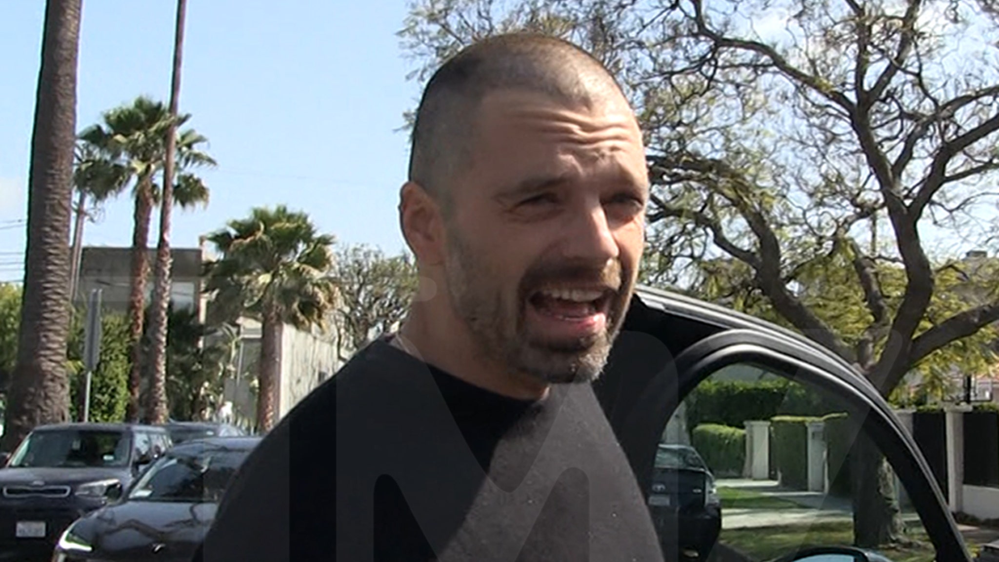 Sebastian Stan says he shaved his head for the role, not for the midlife crisis