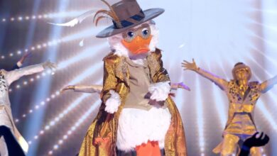 The Masked Singer Season 13 Episode 12 Summary: Lucky Duck Reveal