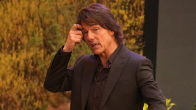 Tom Cruise 'goes too far with stunts'