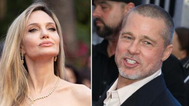 Angelina Jolie's 'Heartbreak about Brad Pitt Kids Cull'